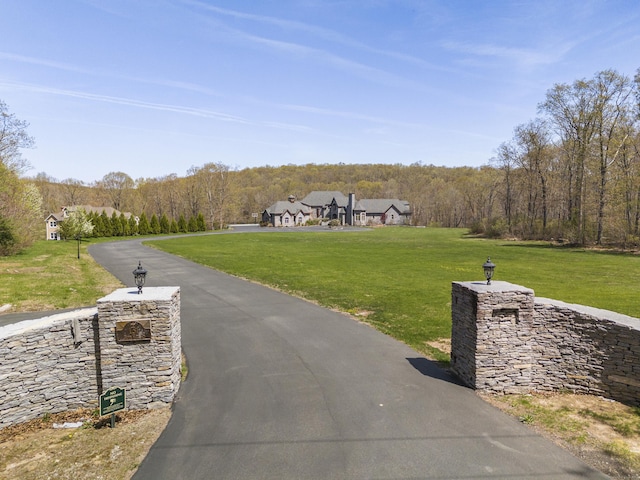 131 Burr Hill Rd, Killingworth, CT 06419 - view of road featuring street lighting, driveway, and a wooded view
