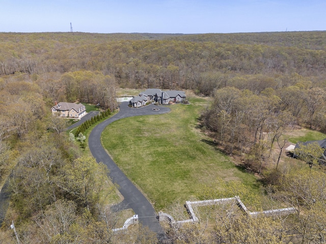 131 Burr Hill Rd, Killingworth, CT 06419 - birds eye view of property with a view of trees