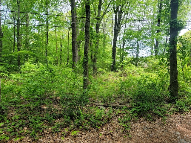33A Laurel Point Dr, Montville, CT 06370 - photo 1