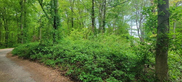33A Laurel Point Dr, Montville, CT 06370 - photo 6