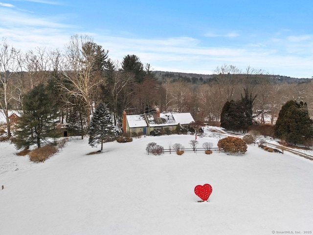 view of yard covered in snow