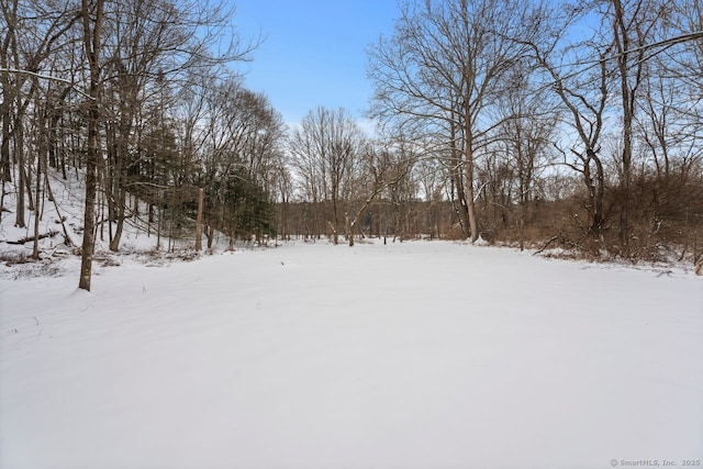 view of yard covered in snow