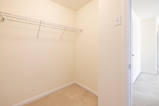 spacious closet featuring light colored carpet