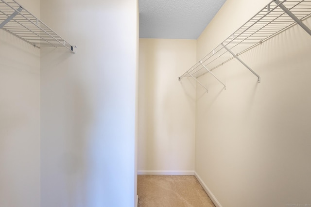 walk in closet with light carpet