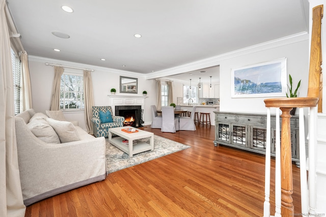 living room featuring sink, ornamental molding, and wood-type flooring