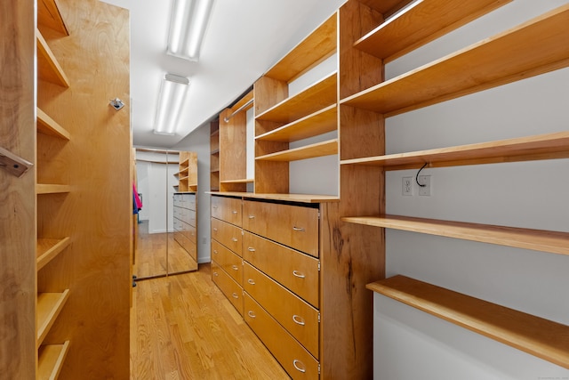 walk in closet featuring light wood-type flooring