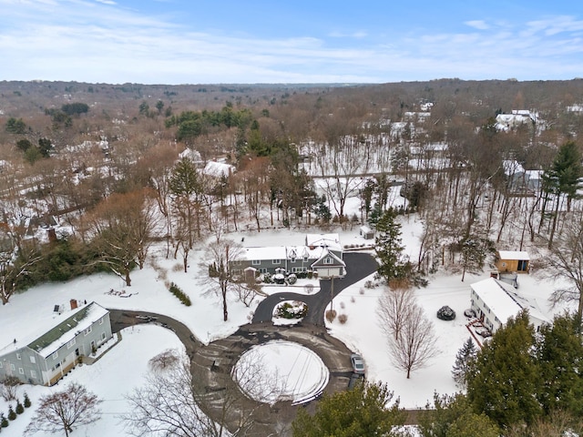 view of snowy aerial view