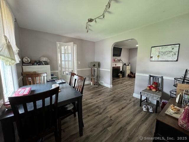 dining space featuring dark hardwood / wood-style floors and track lighting