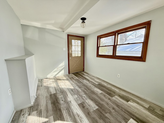 entrance foyer featuring hardwood / wood-style flooring