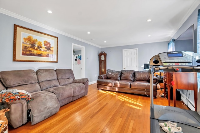 living room featuring ornamental molding and light hardwood / wood-style floors