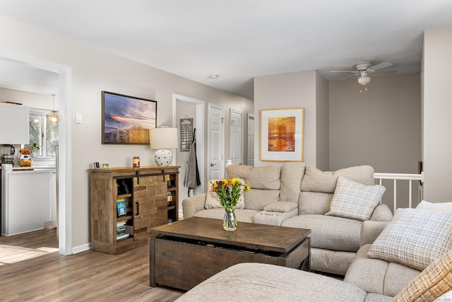 living room with ceiling fan and light hardwood / wood-style floors