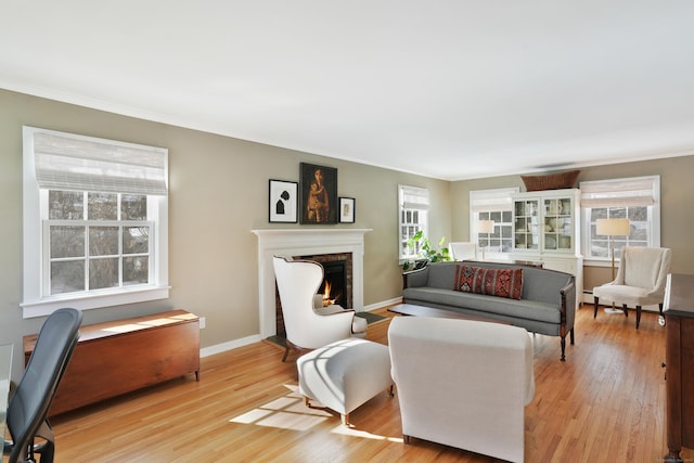 living room featuring light wood-type flooring, plenty of natural light, and a baseboard heating unit