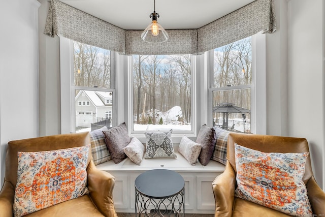 living area featuring a wealth of natural light