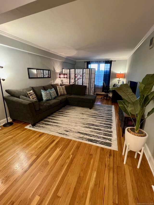 living room with hardwood / wood-style floors and ornamental molding