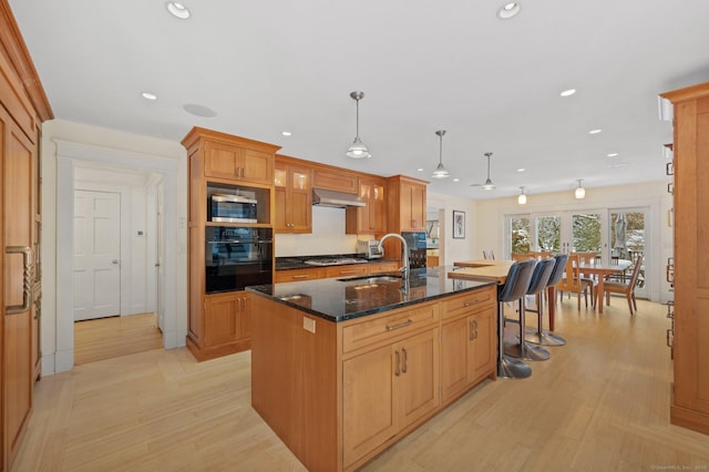 kitchen featuring an island with sink, stainless steel appliances, hanging light fixtures, ventilation hood, and sink