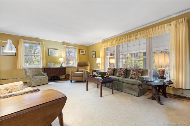 31 Pawson Rd, Branford, CT 06405 - carpeted living room featuring baseboard heating