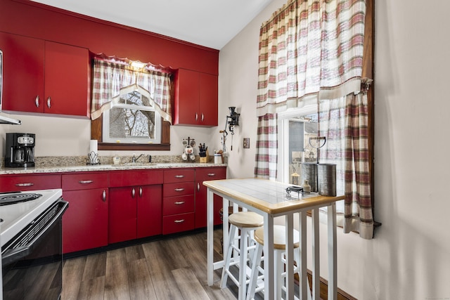 kitchen featuring dark hardwood / wood-style floors, sink, and electric range oven