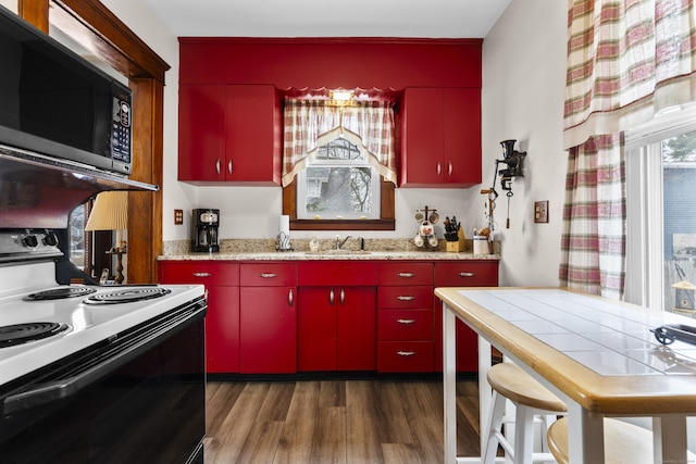 kitchen featuring electric stove, sink, light stone counters, and dark hardwood / wood-style flooring