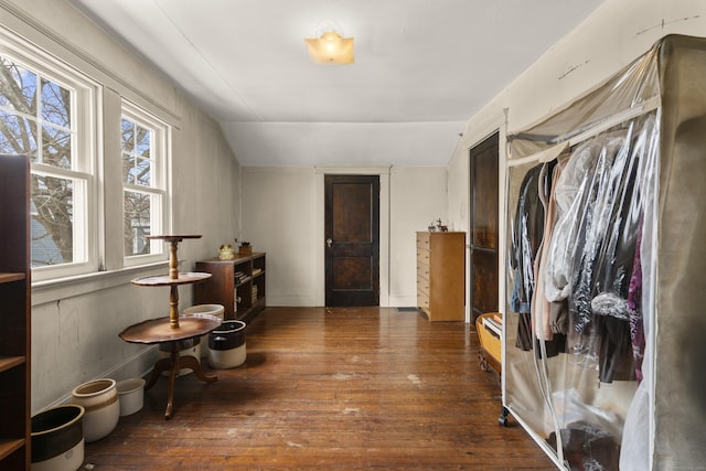 interior space featuring lofted ceiling and dark wood-type flooring