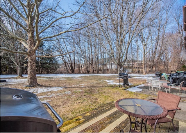 view of yard with a patio