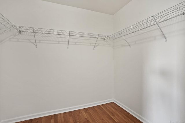 walk in closet featuring hardwood / wood-style floors