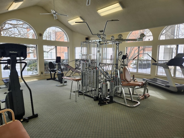 exercise room with carpet, high vaulted ceiling, a textured ceiling, and plenty of natural light