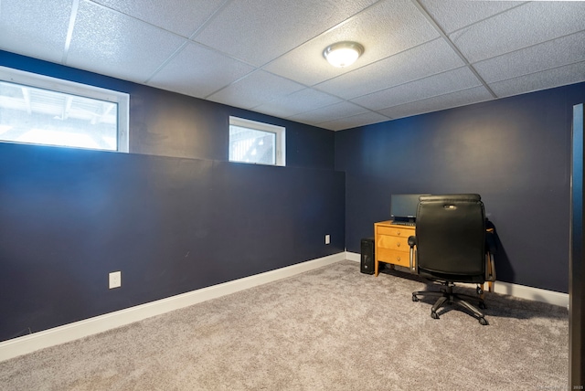 home office featuring a paneled ceiling, plenty of natural light, and carpet flooring