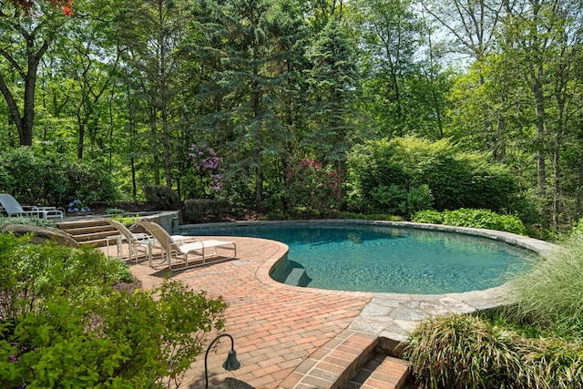 4 Hemlock Rdg, Weston, CT 06883 - swimming pool with a patio and a forest view