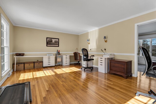 office space with ornamental molding and light wood finished floors