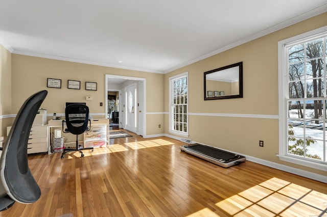 workout room with light wood-style floors, baseboards, ornamental molding, and a wealth of natural light