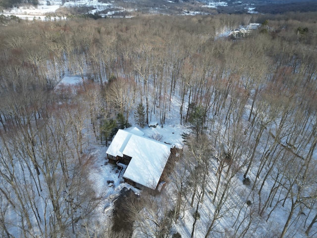 view of snowy aerial view