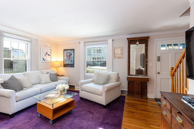 living room featuring crown molding and dark wood-type flooring