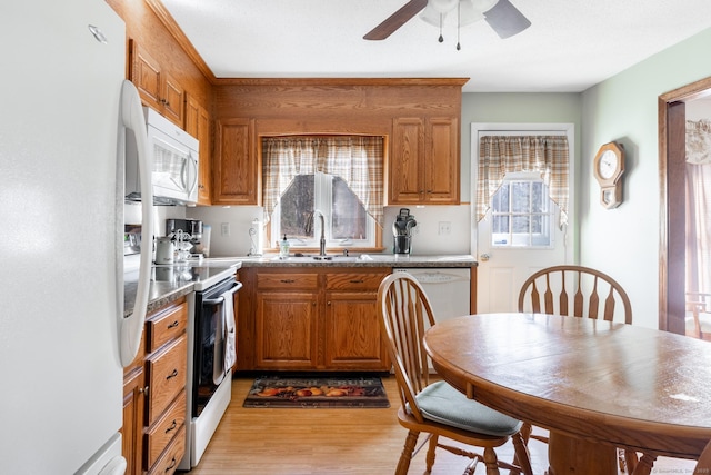 kitchen with a sink, white appliances, light wood-style floors, brown cabinetry, and ceiling fan