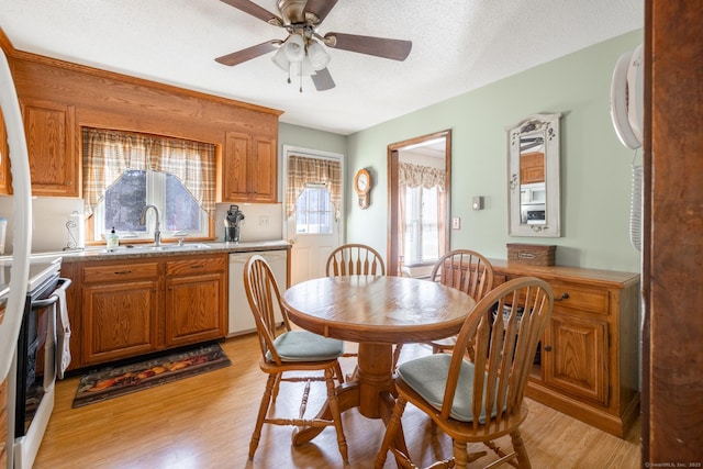 dining room with light wood-style floors, ceiling fan, and a textured ceiling