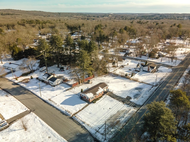 bird's eye view