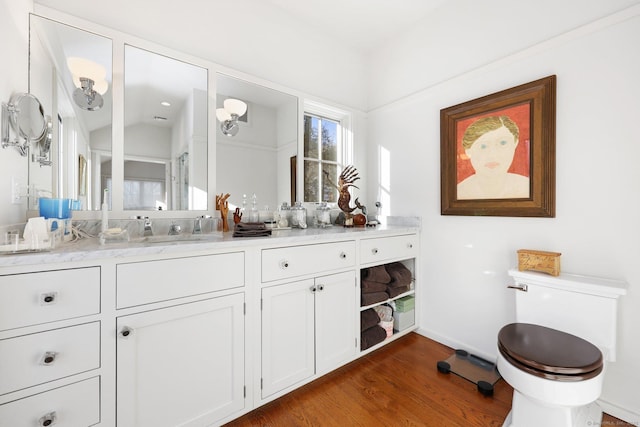 bathroom with vanity, toilet, and wood finished floors