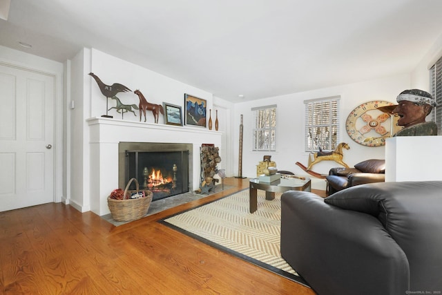 living area featuring a warm lit fireplace and wood finished floors