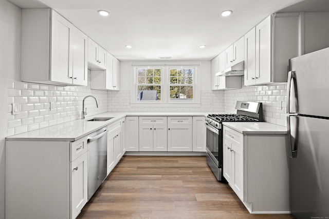 kitchen with under cabinet range hood, wood finished floors, a sink, appliances with stainless steel finishes, and tasteful backsplash