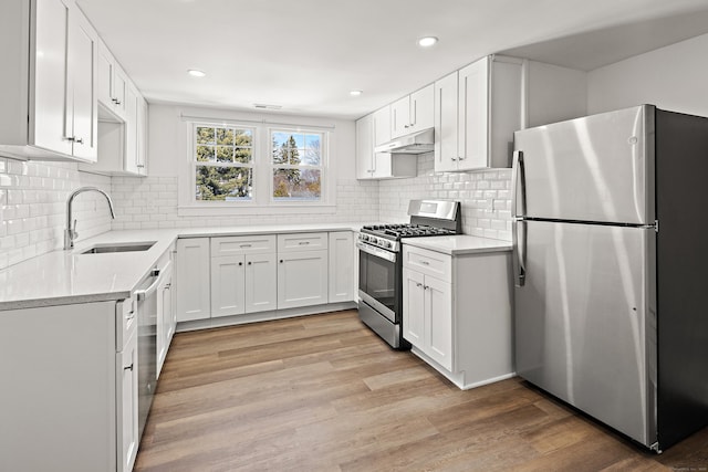 kitchen featuring tasteful backsplash, light wood-style flooring, appliances with stainless steel finishes, a sink, and under cabinet range hood