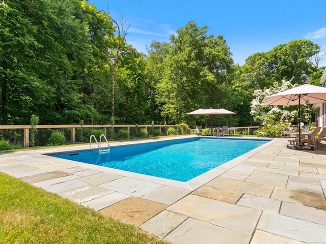 view of pool featuring a fenced in pool, a patio, and fence