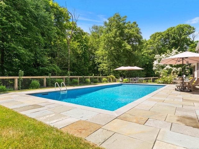 view of pool with a patio and a fenced in pool