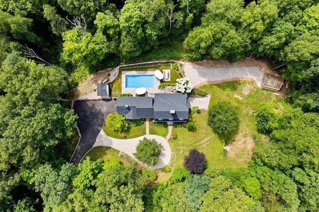 bird's eye view