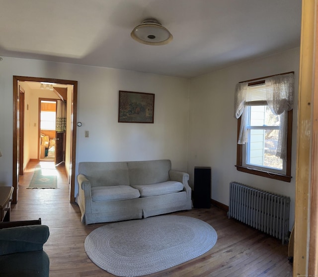 living room featuring radiator and wood finished floors