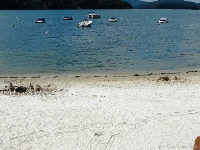 property view of water with a beach view