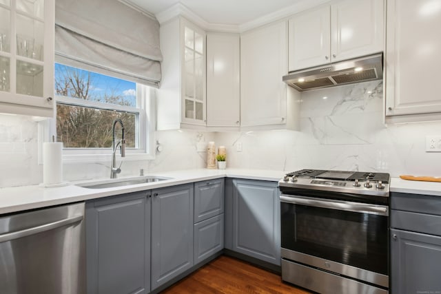 kitchen featuring stainless steel appliances, backsplash, gray cabinetry, a sink, and under cabinet range hood