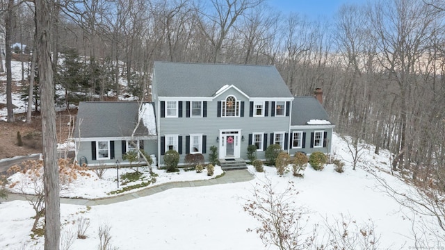 view of front of home featuring roof with shingles and a chimney