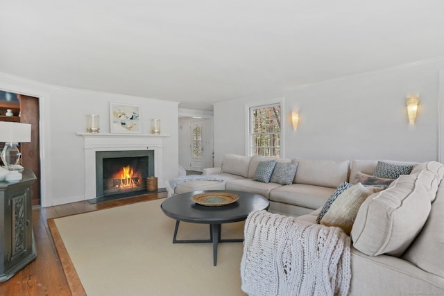 living area with a fireplace with flush hearth, ornamental molding, and wood finished floors