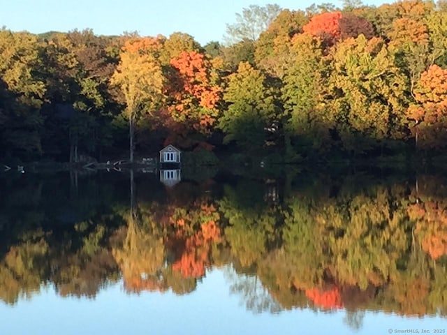 property view of water with a wooded view