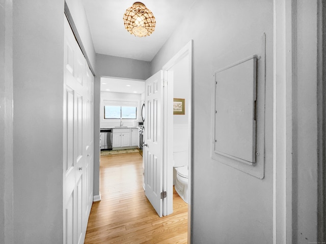 corridor featuring electric panel and light wood-type flooring
