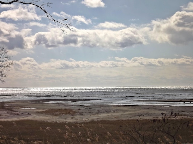 view of water feature featuring a beach view